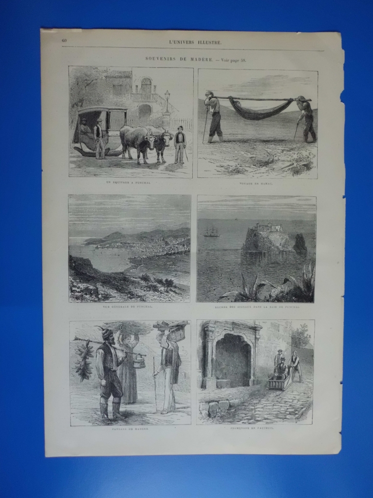 Escenas y vistas de Funchal ( isla de A Madeira, Portugal), 1866